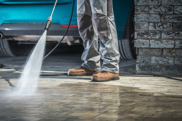 Best Boat and Dock Cleaning  in Deville, AL