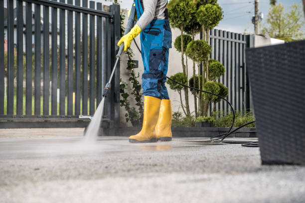 Professional Pressure Washing Services in Daleville, AL